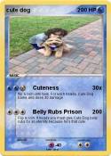 cute dog