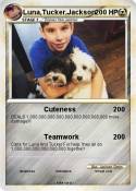 Luna,Tucker,Jac