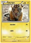 baby tigre
