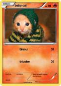 baby cat