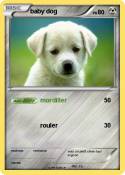 baby dog