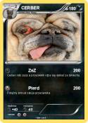 CERBER