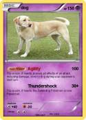 dog