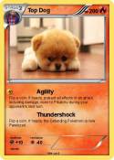 Top Dog