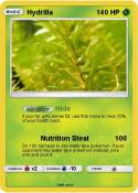 Hydrilla