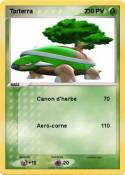 Torterra 2