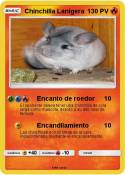 Chinchilla Lani