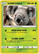 SUPER KOALA