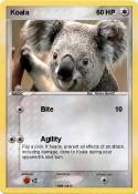Koala