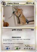 chaton féroce
