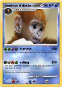 monkeys al diab