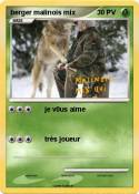 berger malinois