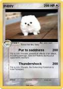 puppy