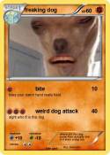 freaking dog