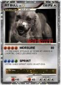 PIT BULL