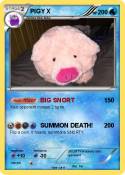 PIGY X