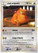 chat (en)potté