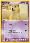 Salty Doge