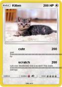 Kitten
