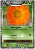 MéGa FLEUR