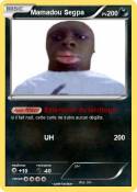 Mamadou Segpa