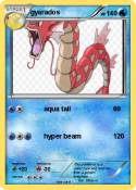 gyarados