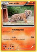 m arcanine