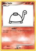 Mine Turtle