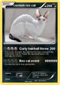 cornish rex