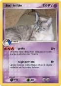 chat térrible