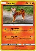tiger dog