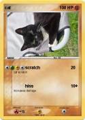 cat