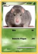 Rat