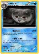 Sad Cat