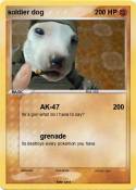 soldier dog
