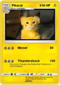 Pikacat 8