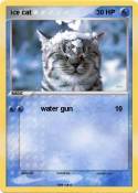 ice cat