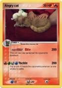 Angry cat