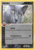 evil kitty