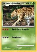 panthère t@chèlé