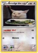 Smudge the cat