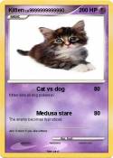 Kitten