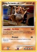 Kung Fu hamie