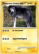 beauceron
