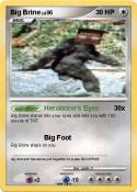 Big Brine