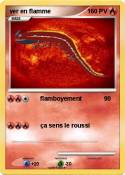 ver en flamme