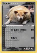 Gros tas