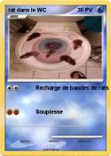 rat dans le WC