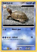 TURTLE #2