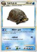 TURTLE #3